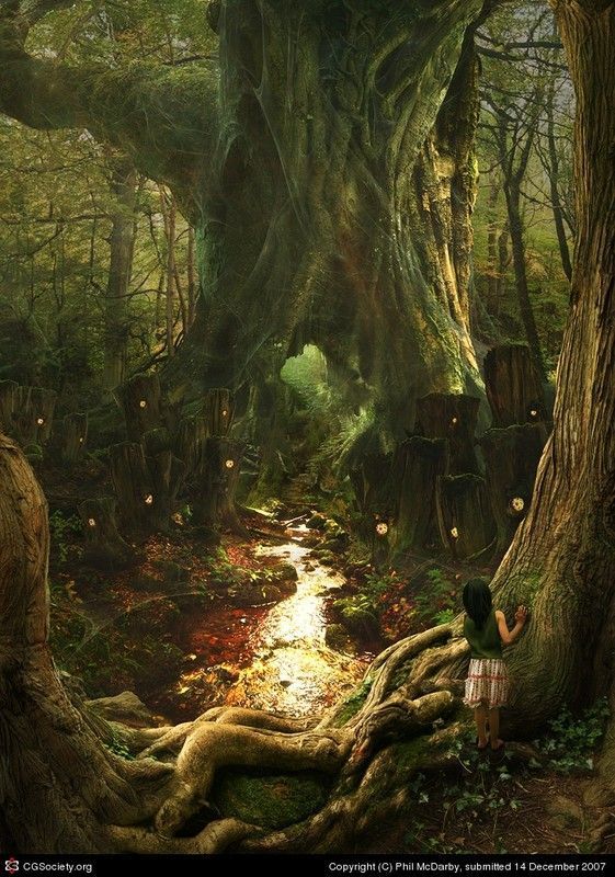 Forêt Mystérieuse